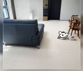 오송파라곤3차ㅣ베이지카라 600