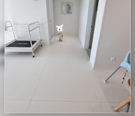 안동세영리첼ㅣ베이지카라 1200